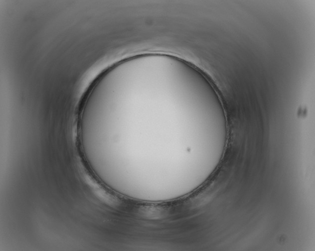 X0000092251511200709281134