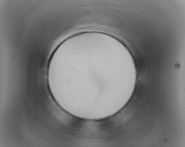 X0000092251514200709281134