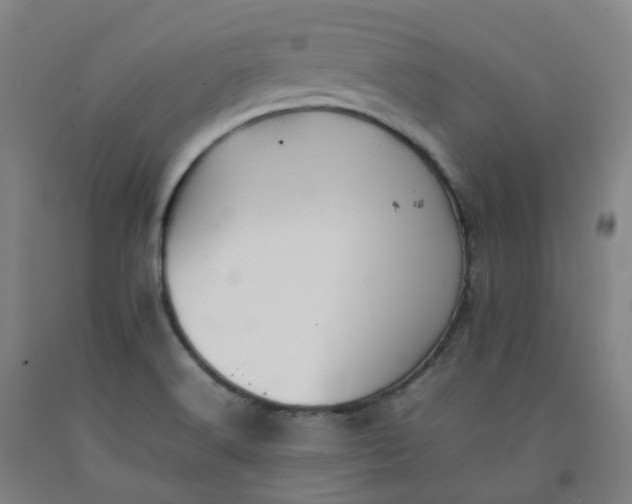 X0000092251516200709281134