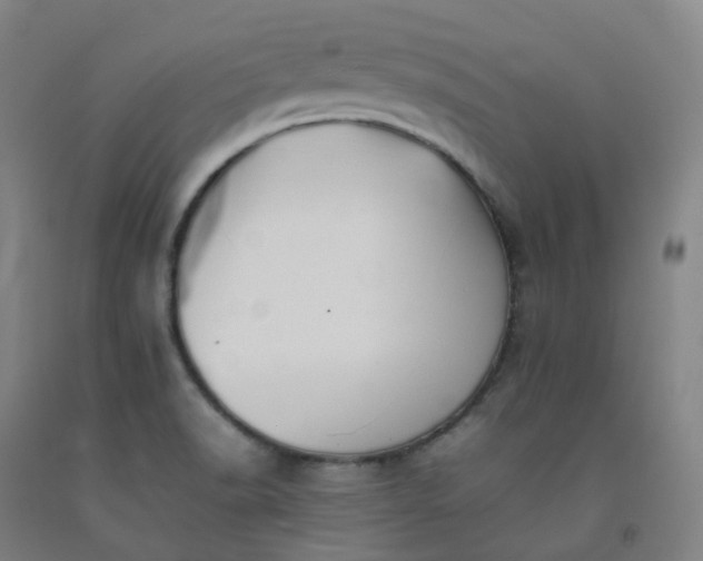 X0000092251518200709281134