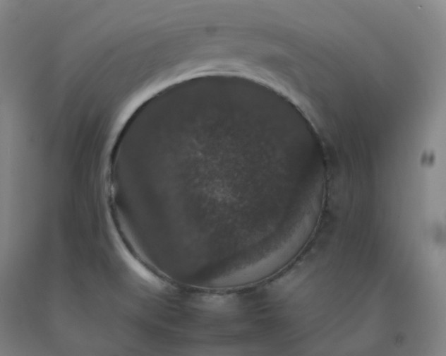 X0000092251519200709281134