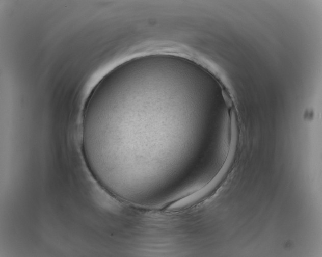 X0000092251520200709281134