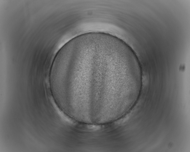 X0000092251521200709281134