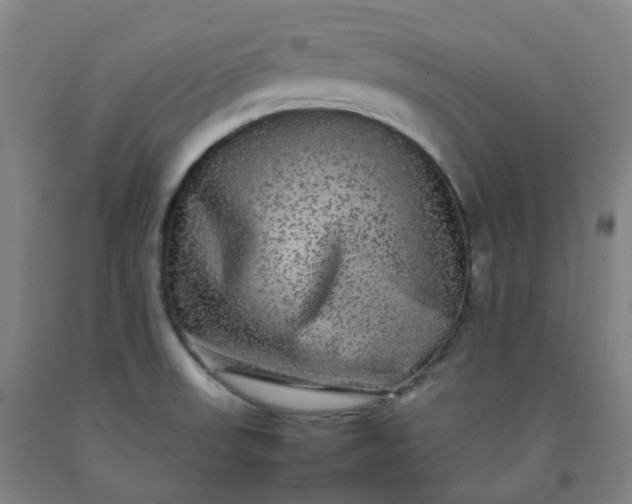 X0000092251523200709281134