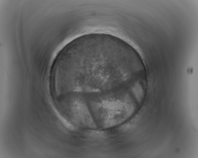 X0000092251525200709281134