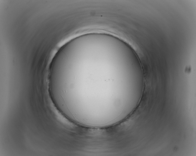 X0000092251526200709281134