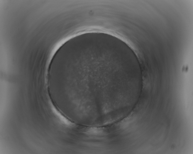 X0000092251527200709281134