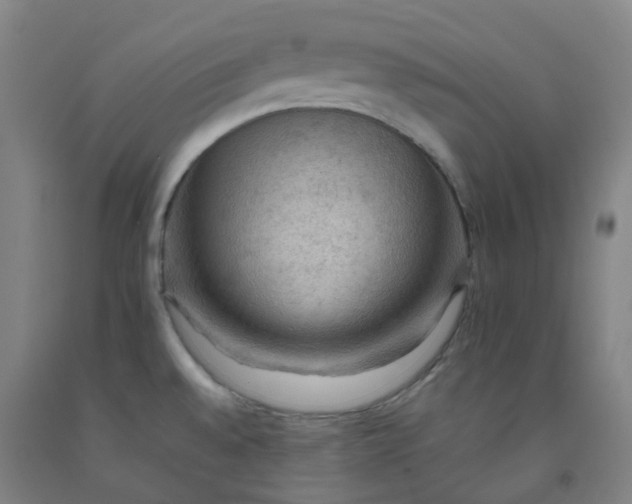 X0000092251528200709281134