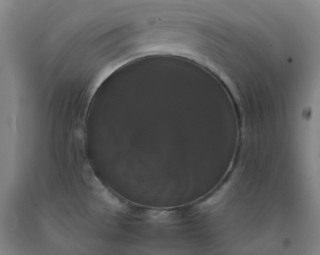 X0000092251529200709281134