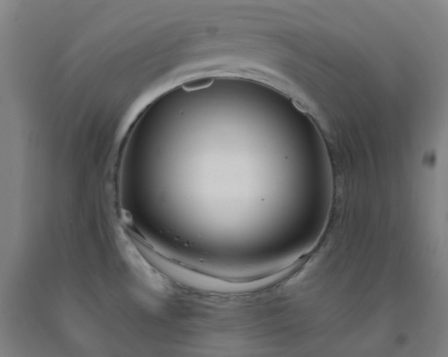 X0000092251530200709281134