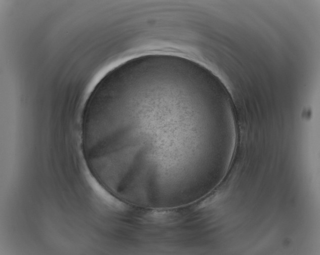 X0000092251531200709281134