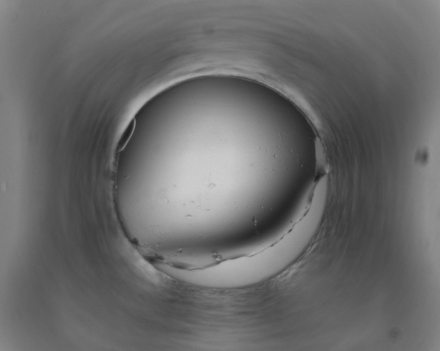 X0000092251532200709281134