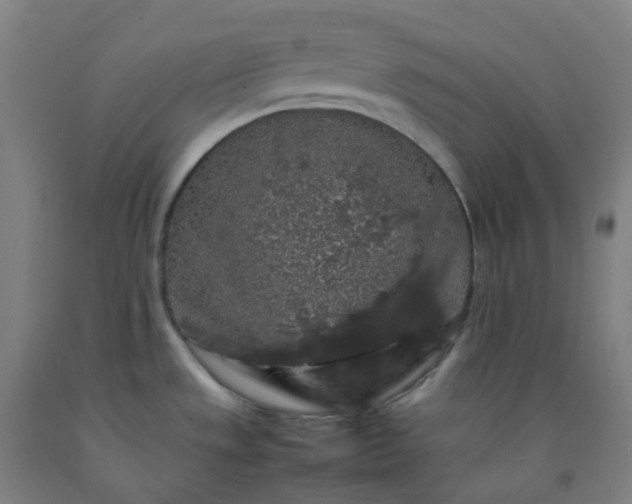 X0000092251533200709281134