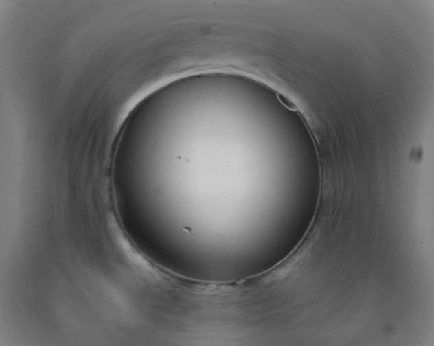 X0000092251534200709281134