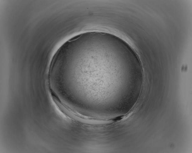 X0000092251536200709281134