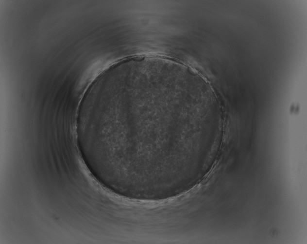X0000092250002200710051309