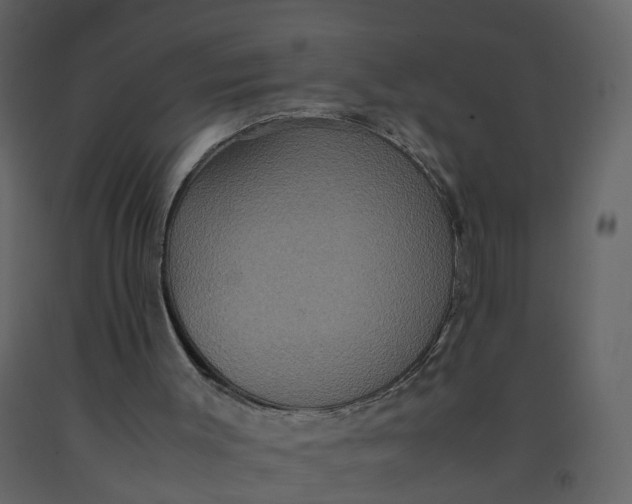X0000092250003200710051309