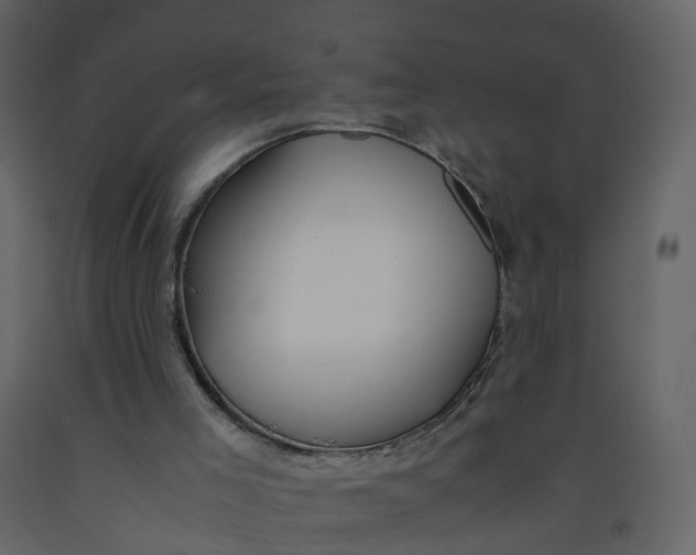 X0000092250005200710051309