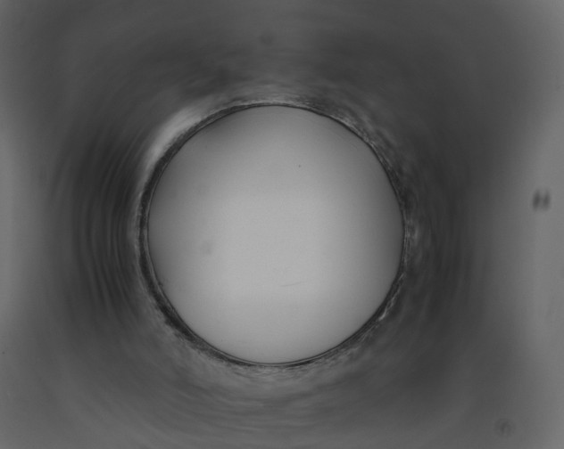 X0000092250006200710051309