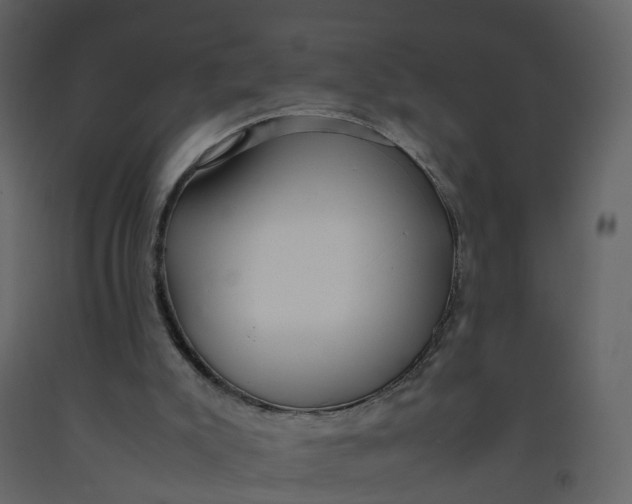 X0000092250007200710051309
