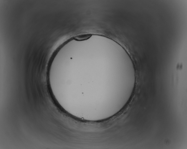 X0000092250008200710051309