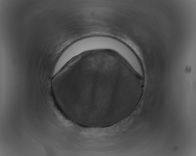 X0000092250009200710051309