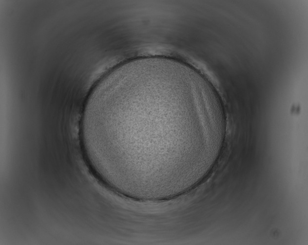 X0000092250010200710051309