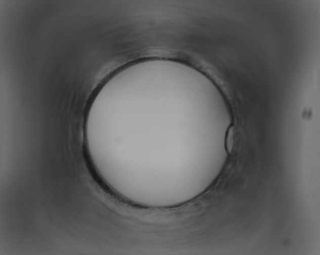 X0000092250011200710051308