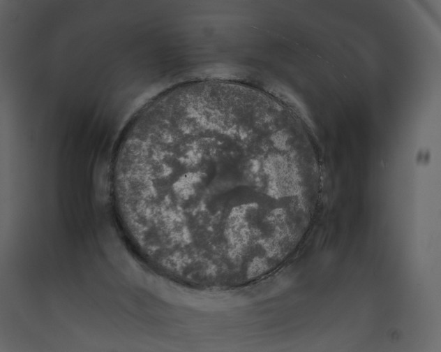 X0000092250012200710051308
