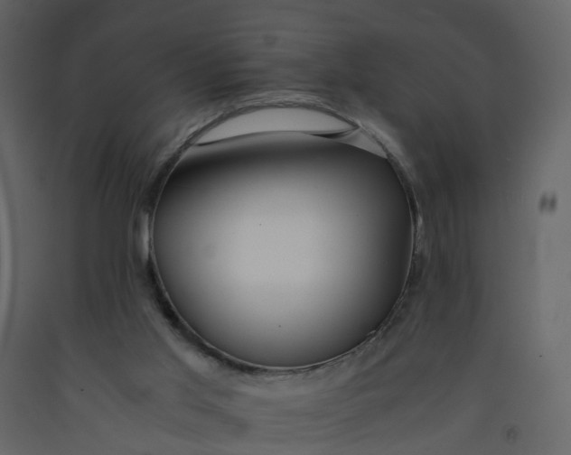 X0000092250013200710051308