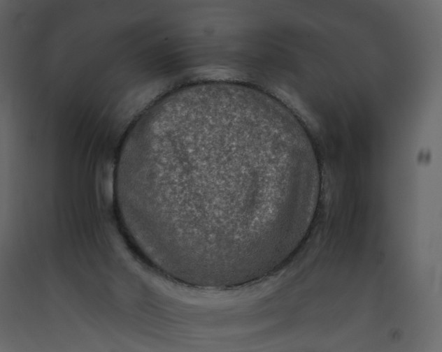 X0000092250014200710051308