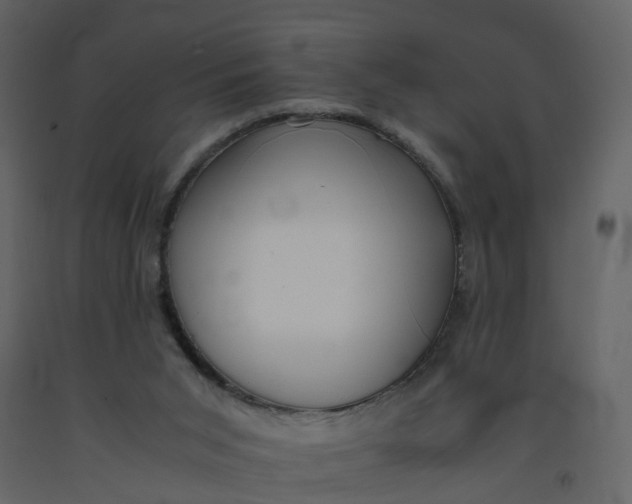 X0000092250015200710051308