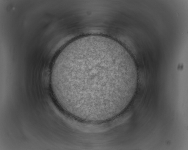 X0000092250016200710051308
