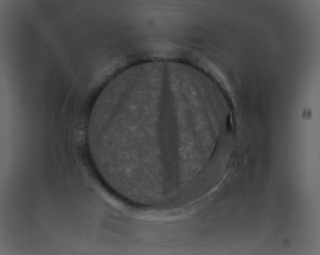 X0000092250017200710051308