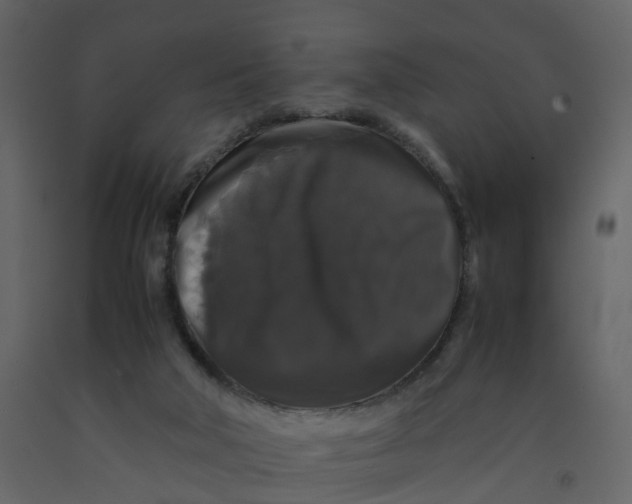 X0000092250018200710051308