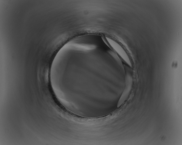 X0000092250019200710051308