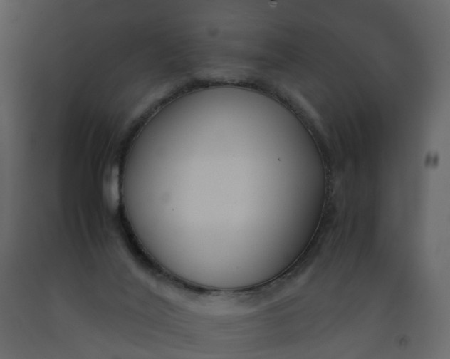 X0000092250020200710051308