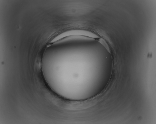 X0000092250021200710051308