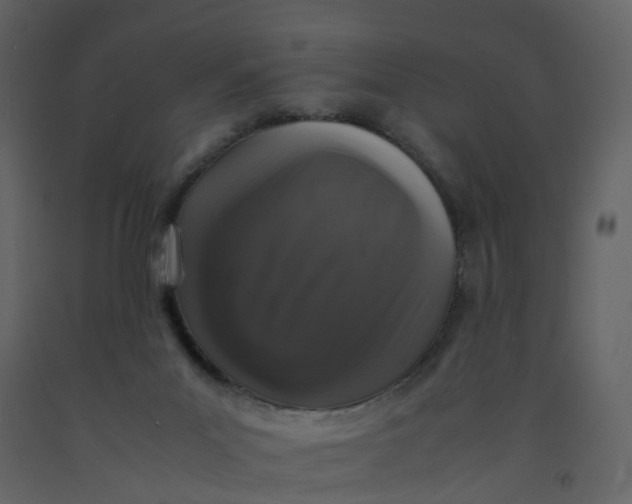 X0000092250023200710051308