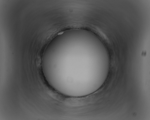 X0000092250025200710051308