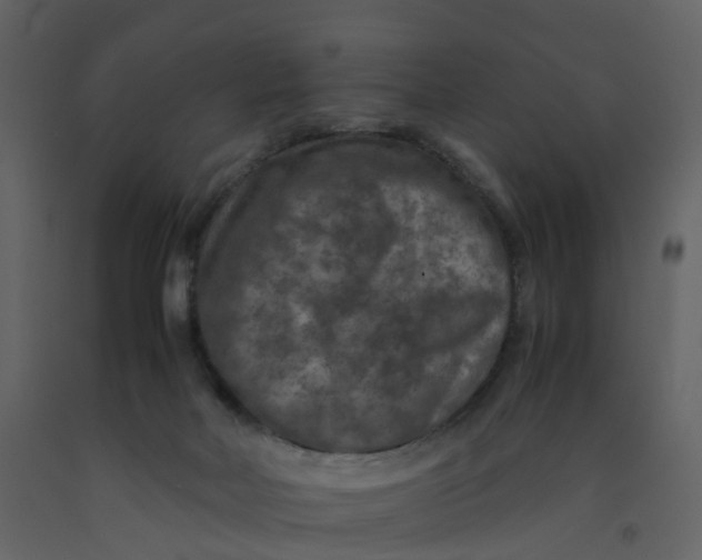 X0000092250026200710051308