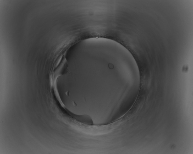 X0000092250027200710051308