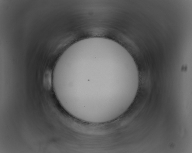 X0000092250028200710051308