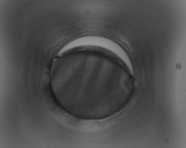 X0000092250029200710051308