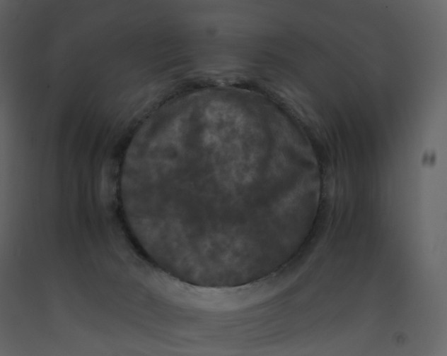 X0000092250030200710051308