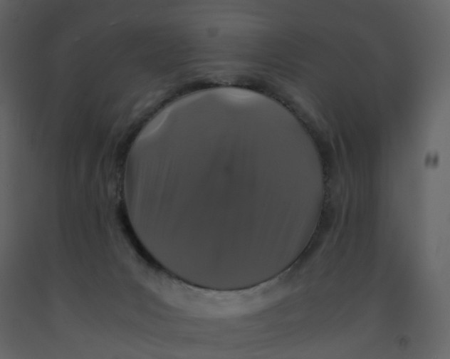X0000092250031200710051308