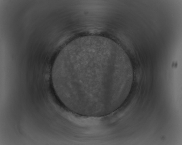X0000092250032200710051308