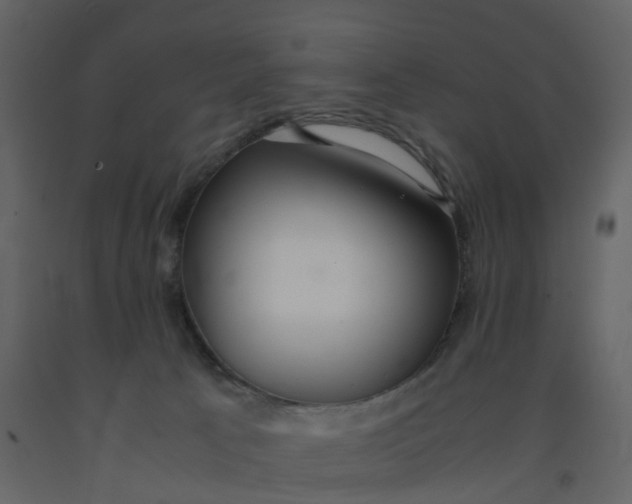 X0000092250033200710051308