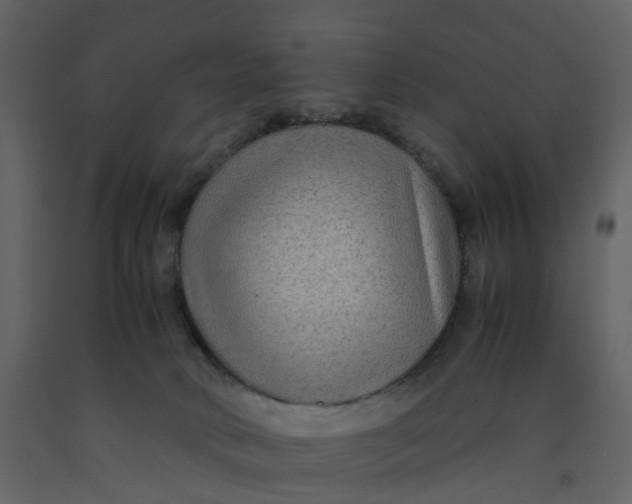 X0000092250034200710051308