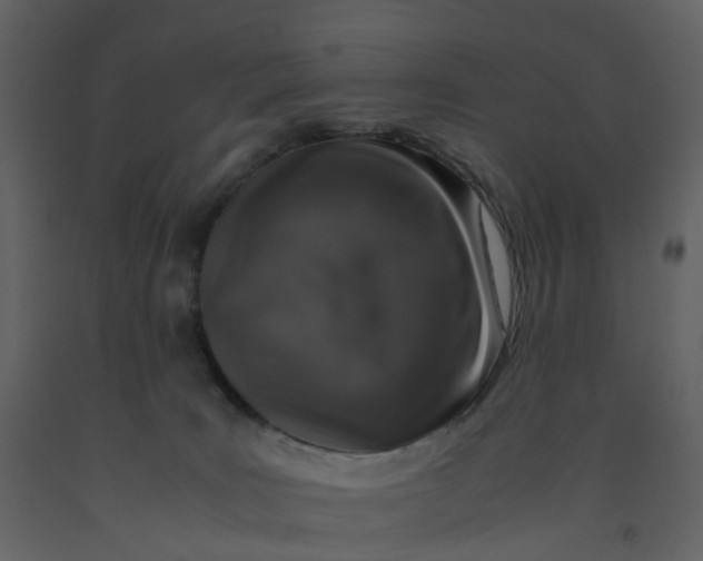 X0000092250035200710051308
